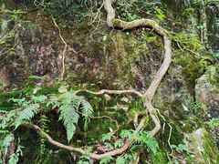 -西岭雪山大飞水景区