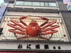 -蟹道乐(道顿堀本店)