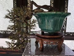 -广州兰圃
