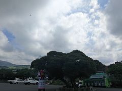-汉拿树木园