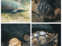 -青青世界