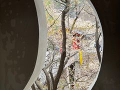 -老张烤羊(王哥庄店)