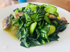 -老中和羊肉馆
