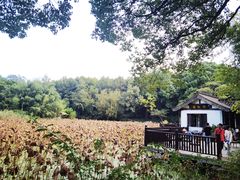 -兰亭风景区