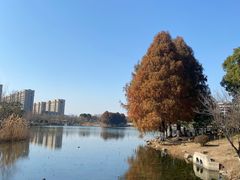 -海天湖公园