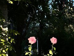 -国家图书馆·古籍馆