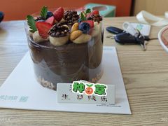-维尔纳斯·生日蛋糕动物奶油冰淇淋蛋糕(人大店)