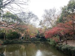 -秋霞圃