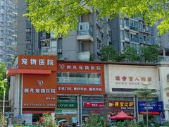-创凡宠物医院·骨专科  猫科中心(西乡分院)