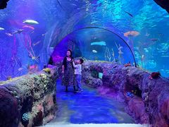 -沈阳海洋探索中心