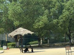 -上海佘山世茂艾美酒店
