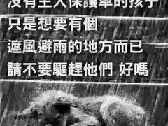 android_upload_pic-盛京一禾