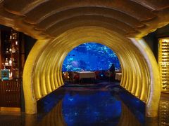 -迪拜帆船酒店海底餐厅