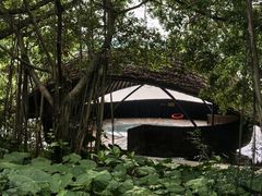 -大湾区中央湿地公园