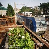 我在老宅里等你来品茶