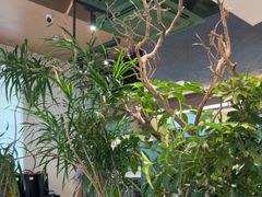 -山缓缓火锅(苏州仁恒仓街店)