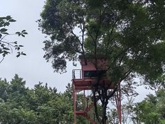 -福建鲤鱼洲酒店