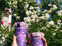 -茶屿水果茶(太古里店)