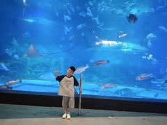 -烟台海昌鲸鲨海洋公园