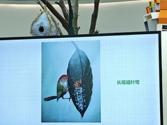 -中国湿地博物馆