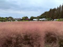-嘉北郊野公园