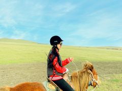 -额尔古纳黑山头绿野马帮骑马场