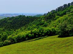 -敬亭山风景名胜区