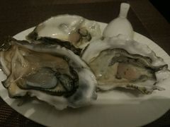 -壹号港湾