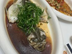 -骏丰酒楼(黄编店)