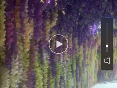 -深圳失恋博物馆再见前任(汇商名苑店)