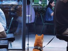 -Au Cafe&Roastery(华侨城店)