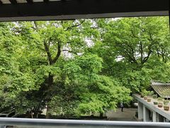 -山外山菜馆(玉泉路店)