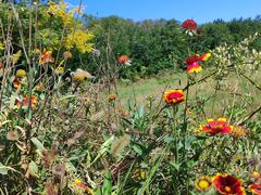 -汉长安城未央宫国家考古遗址公园