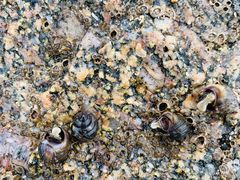 -东戴河风景区-止锚湾