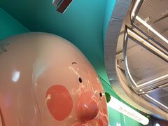 -不可思议减压馆·解压博物馆·摔碗发泄·团建定制