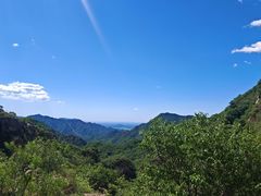 -大岭沟猕猴桃谷风景区