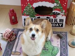 -烤匠麻辣烤鱼(IFS店)