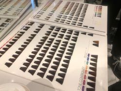 -华卫思理轻奢造型