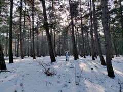 -长春净月潭风景名胜区