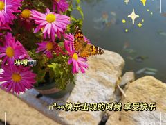 -恋乡太行水镇