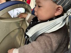 -贵州森林野生动物园