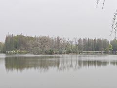 -艾溪湖湿地公园