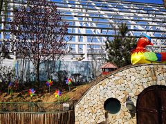 -南宫五洲植物乐园