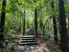 -庐山风景区花径公园