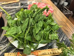 -乳仔牛牦牛汤锅 烤羊排(松潘古城店)