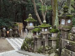 -奈良公园