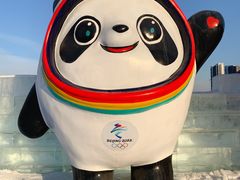 -沈阳奥体冰雪嘉年华