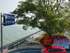 -大湾区中央湿地公园