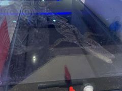 -海韵之星邮轮水会(明发商业广场店)