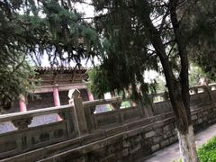 -张掖大佛寺景区